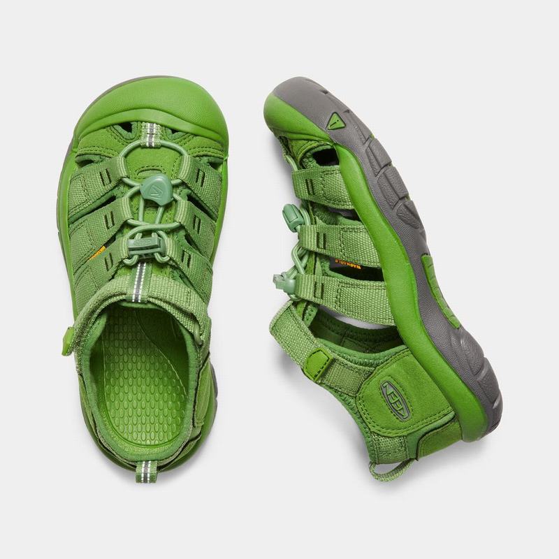 Keen サンダル | キーン ニュー ポート h2 サンダル キッズ 緑 | Keen Newport H2 | 549862-JQR